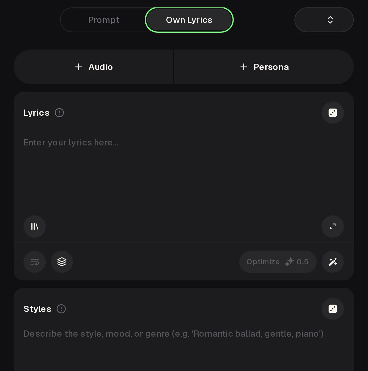 Close view of the lyrics box and style field